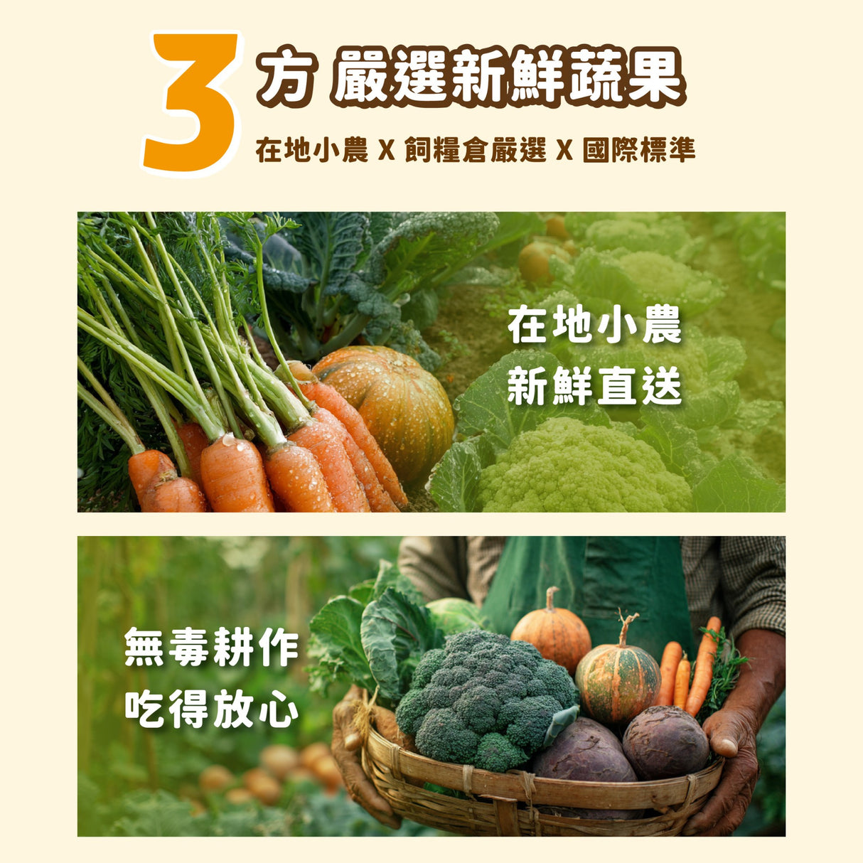 飼糧倉 狗狗保健潔牙棒 5支裝 5種口味