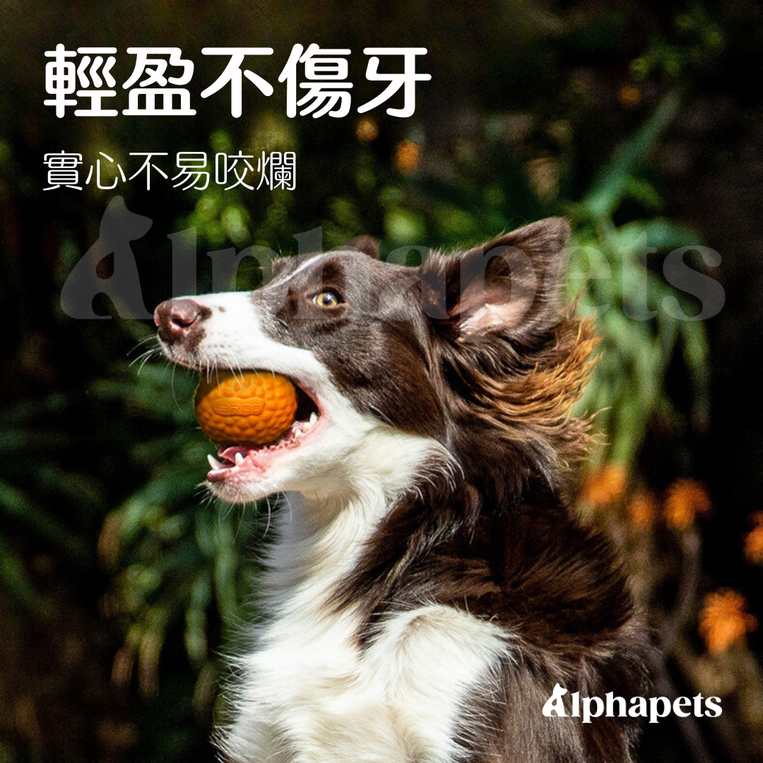 LaRoo 萊諾 假日系列 蹦蹦球 狗狗耐咬 彈力球玩具