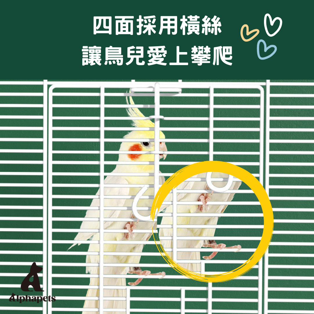 橫絲立柱鳥籠 鸚鵡籠 立柱鳥籠 中小型鳥籠