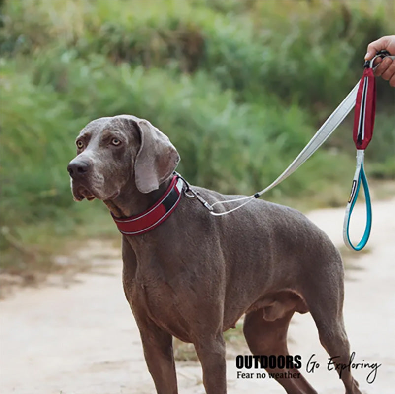 BlackDoggy 寵物戶外反光緹花便攜帶牽繩 / 反光項圈 2色