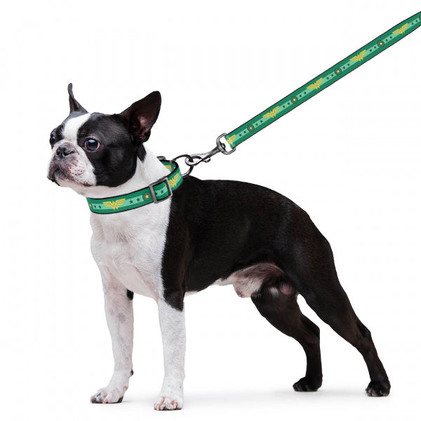 COLLAR扣樂 尼龍牽繩 DC漫畫系列 正義聯盟 / 黑暗騎士 / 神力女超人