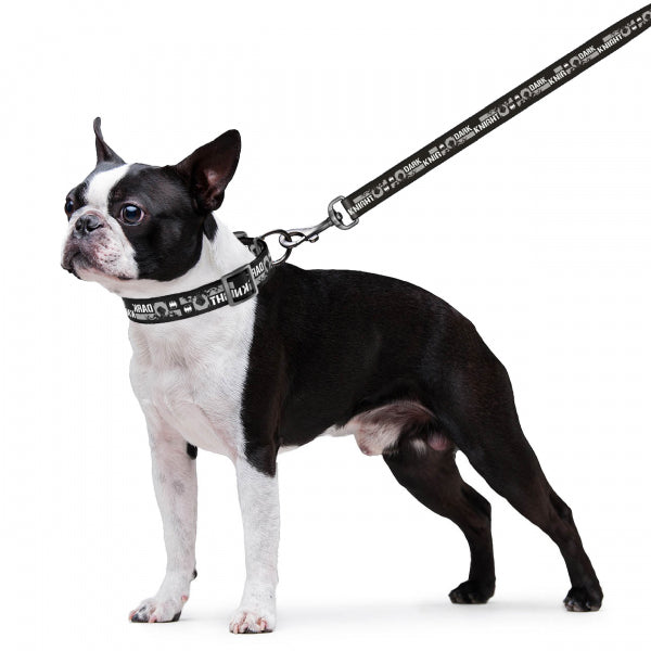 COLLAR扣樂 尼龍項圈 DC漫畫系列 正義聯盟 / 黑暗騎士 / 神力女超人