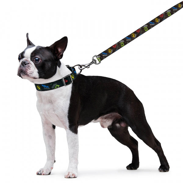 COLLAR扣樂 尼龍牽繩 DC漫畫系列 正義聯盟 / 黑暗騎士 / 神力女超人