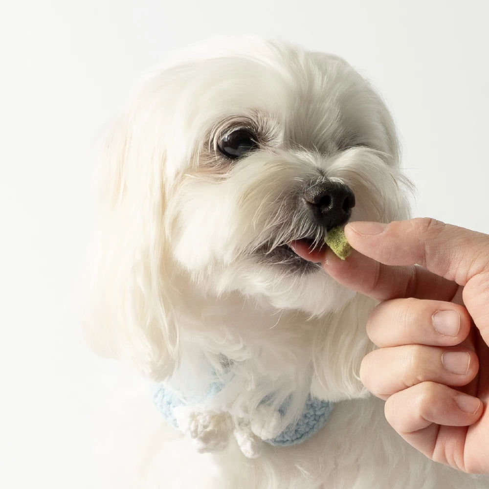 汪喵星球 犬貓凍乾 機能保健丁 (關節/泌尿/口腔/排毛)