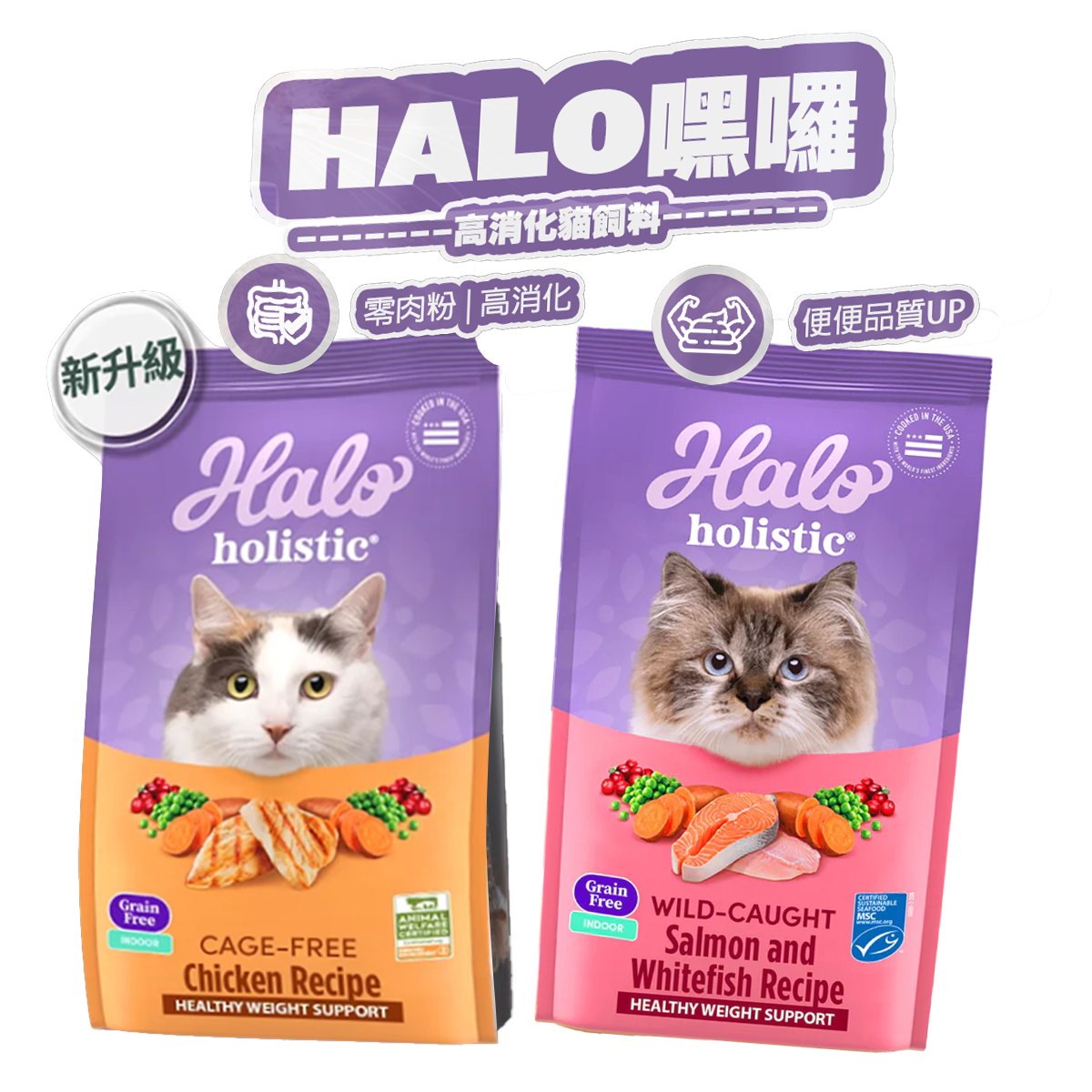 HALO嘿囉 無穀貓飼料 雞肉 鮭魚白魚 零肉粉 高消化率
