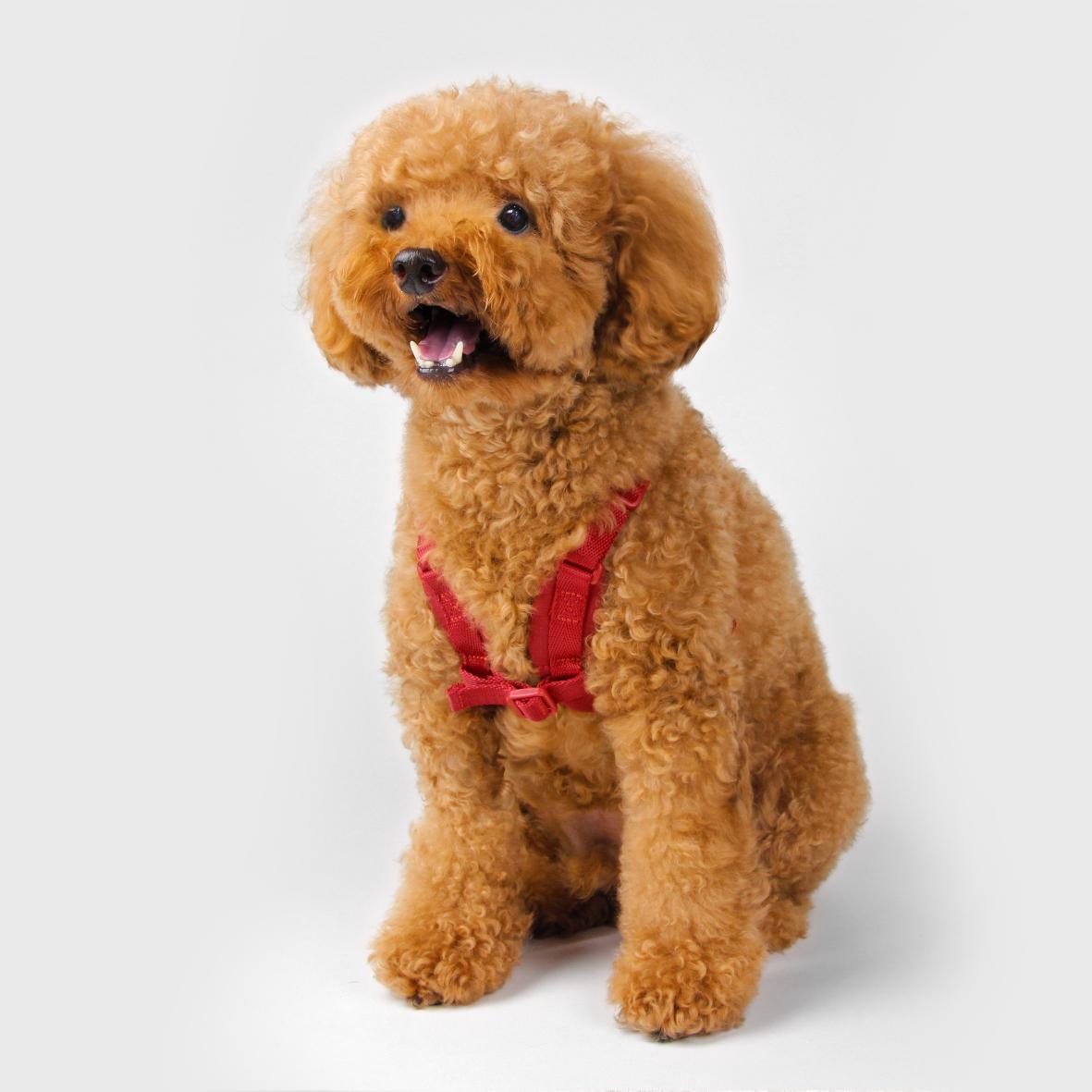 SPUTNIK 斯普尼克 EXPLORE【戶外活動必備】優惠組合