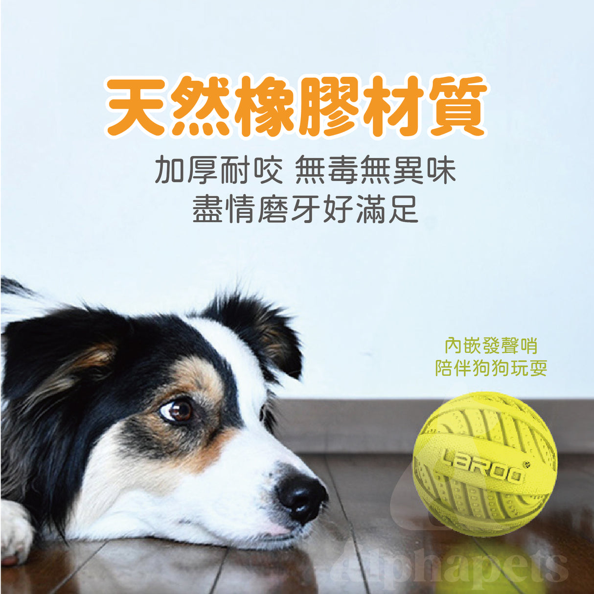 LaRoo萊諾 發聲核桃球 橡膠玩具 狗狗玩具