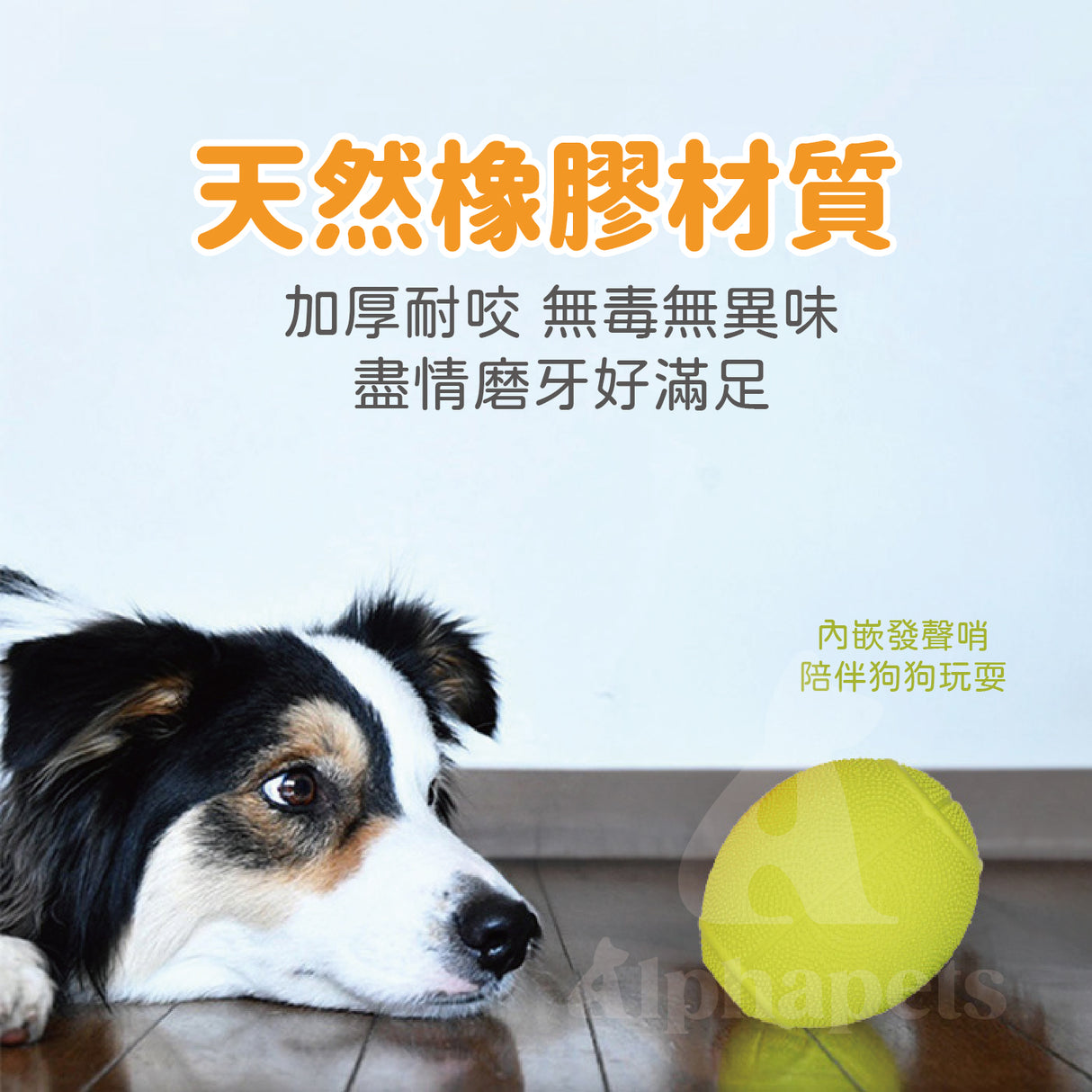 LaRoo萊諾 發聲橄欖球 橡膠玩具 狗狗玩具