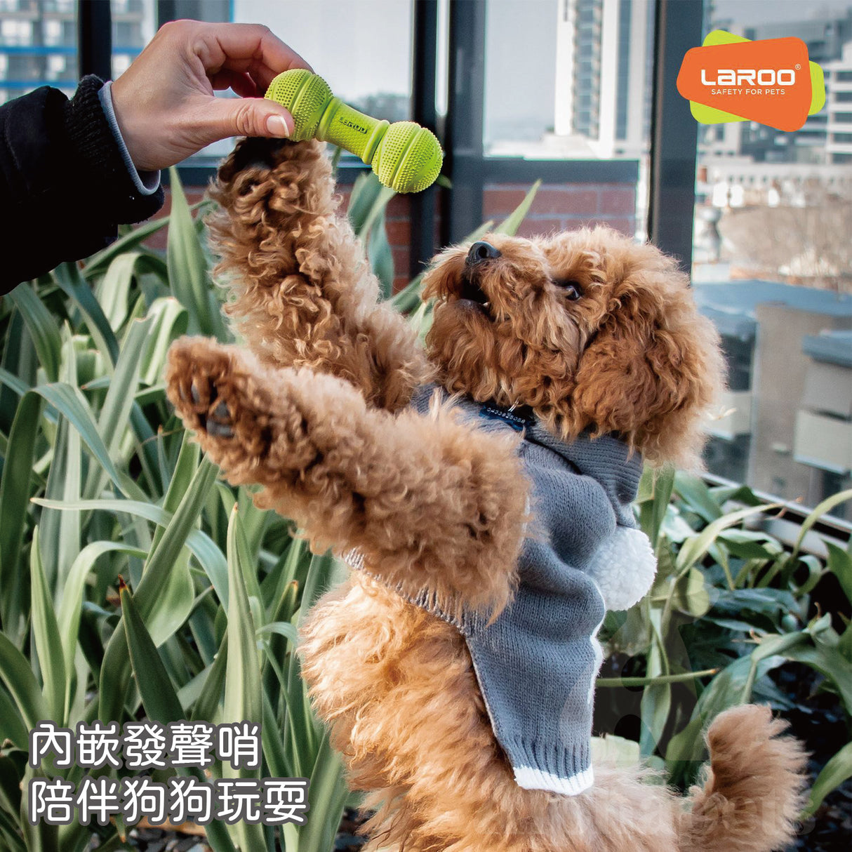 LaRoo萊諾 發聲小啞鈴 橡膠玩具 狗狗玩具