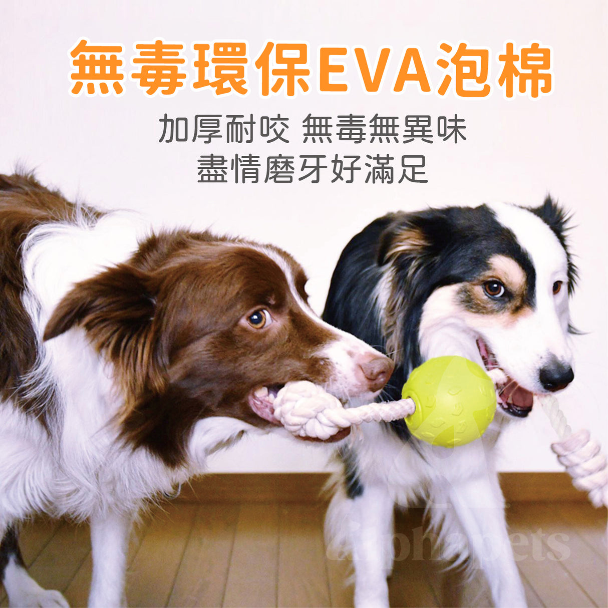 LaRoo萊諾 互動繩球 狗玩具 純棉互動玩具 拉扯耐咬玩具