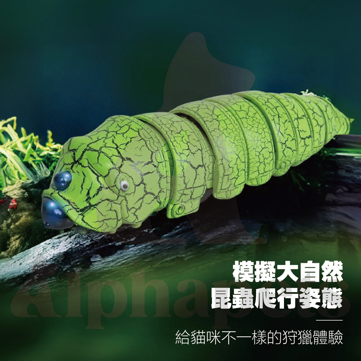 LaRoo萊諾 電動蟲子 仿生玩具 狗狗玩具