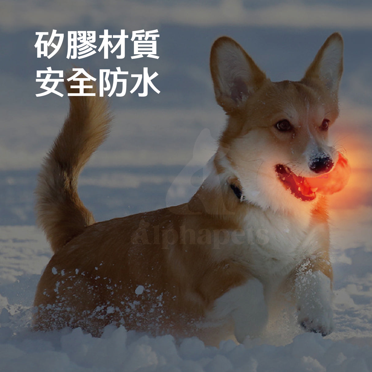 LaRoo萊諾 發光球 彩色發光球