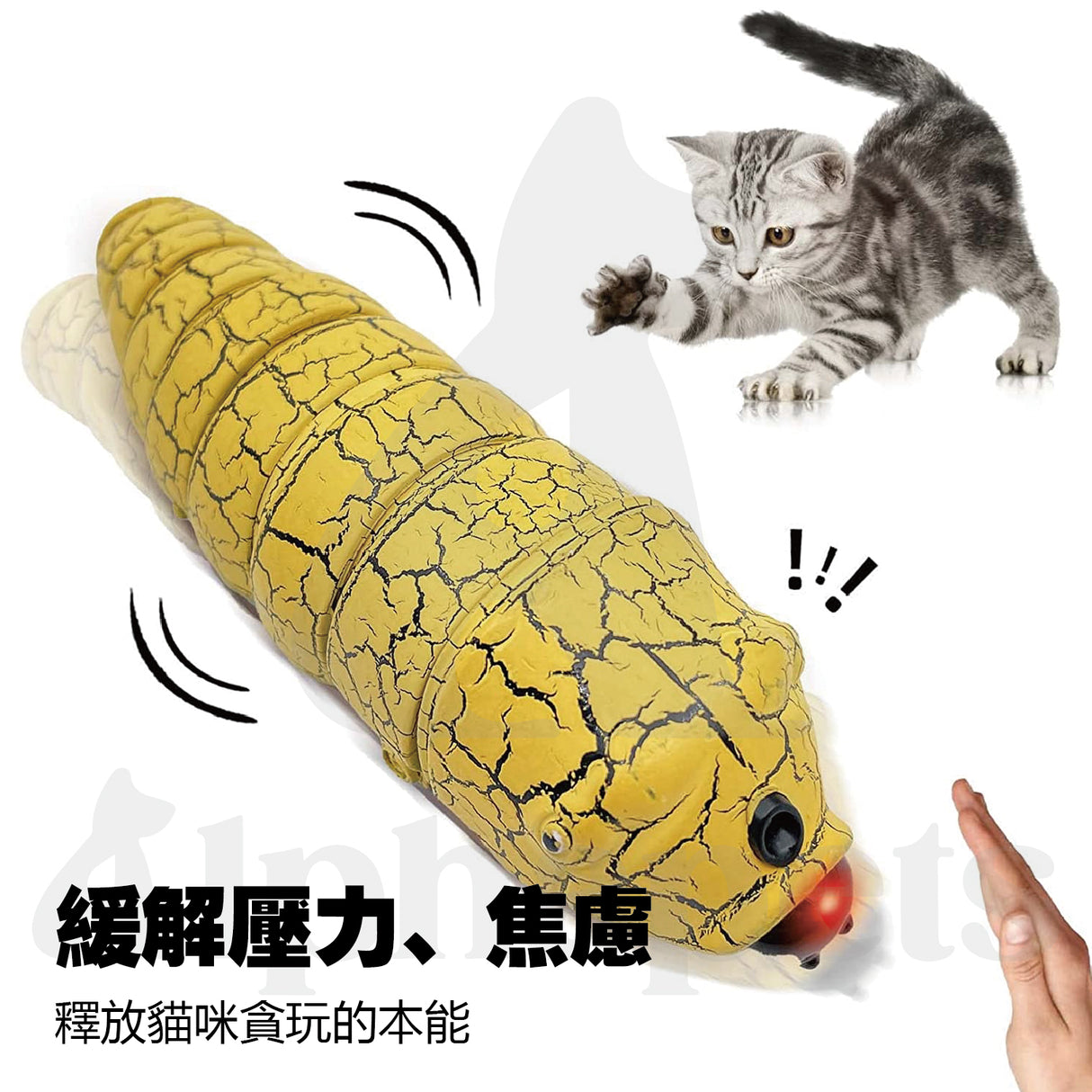 LaRoo萊諾 電動蟲子 仿生玩具 狗狗玩具