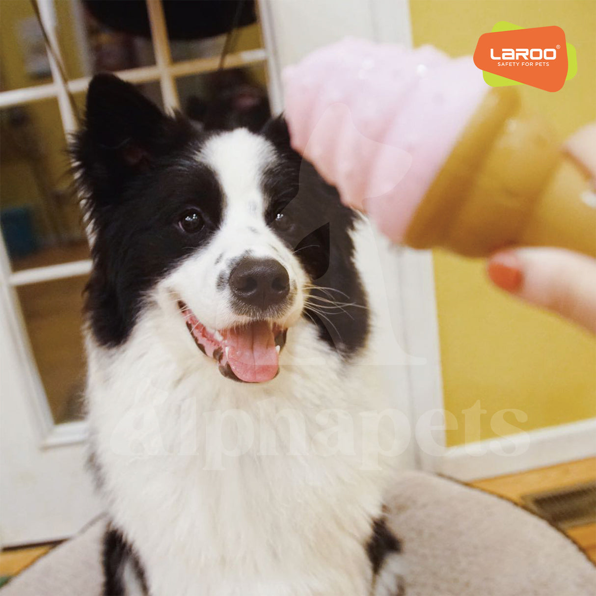 LaRoo萊諾 冰凍冰淇淋 降暑玩具 橡膠玩具 狗狗玩具
