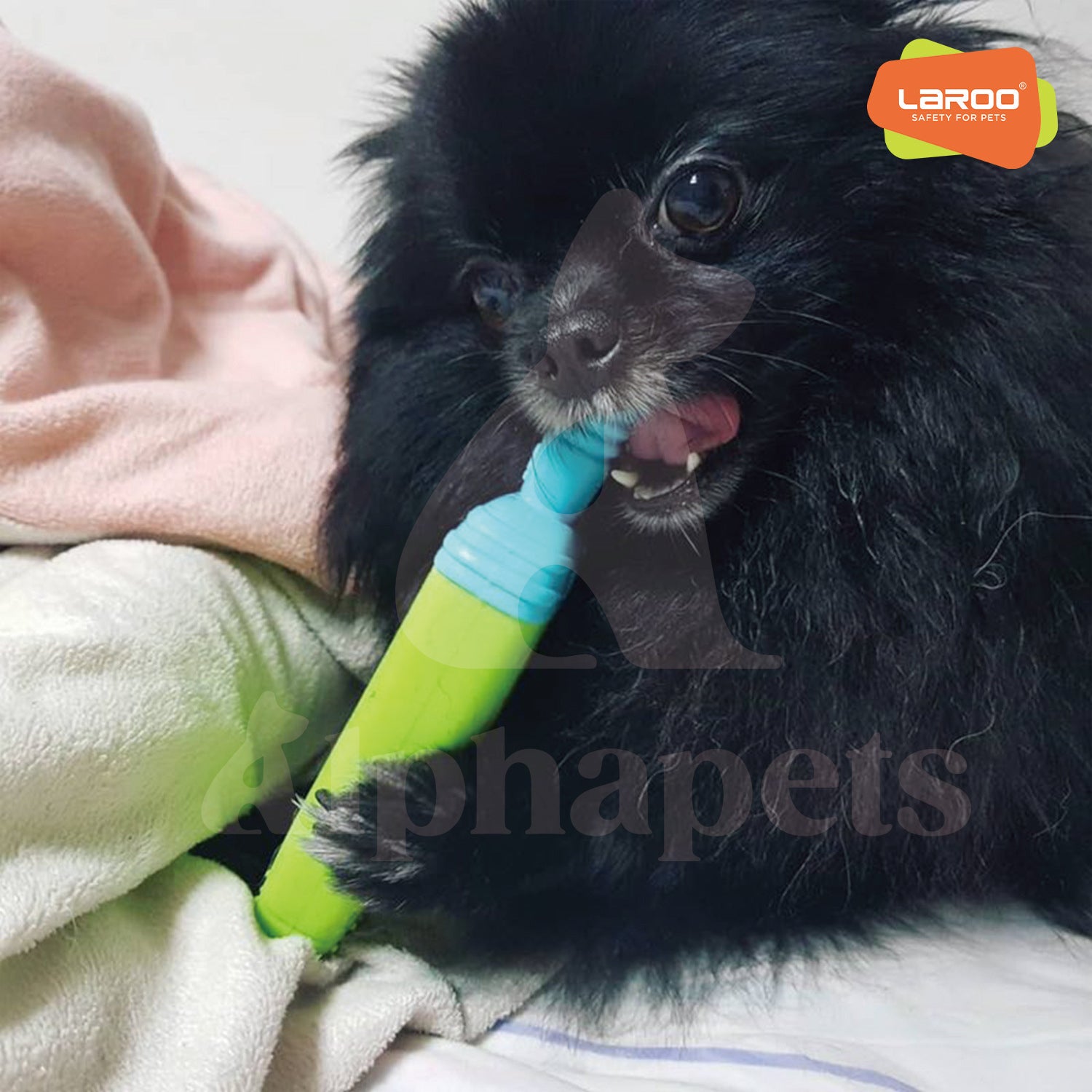 LaRoo萊諾 冰凍冰棒 降暑玩具 橡膠玩具 狗狗玩具