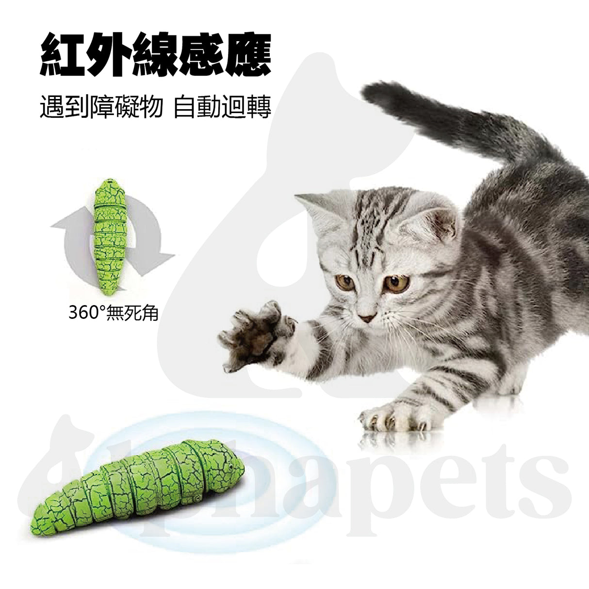 LaRoo萊諾 電動蟲子 仿生玩具 狗狗玩具