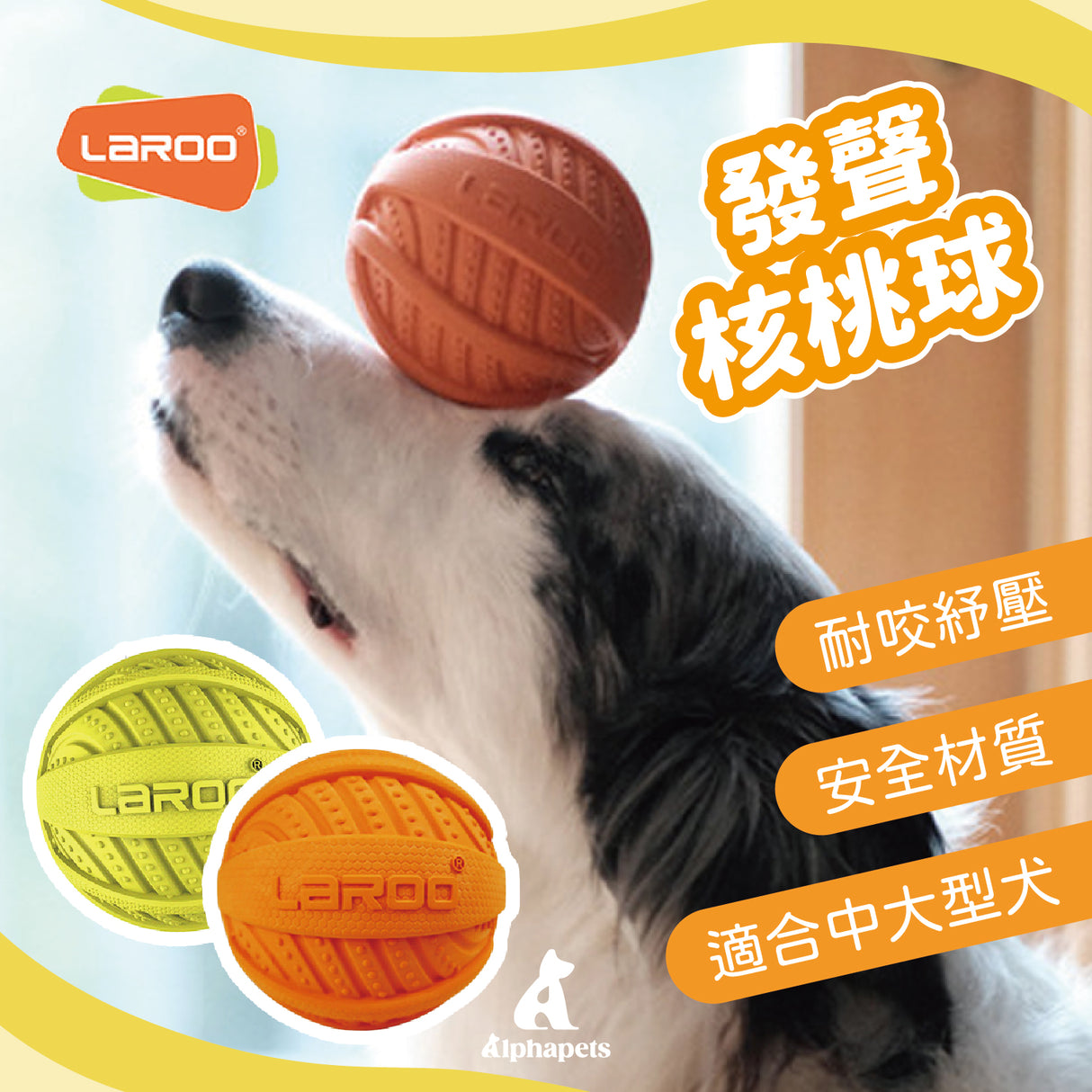 LaRoo萊諾 發聲核桃球 橡膠玩具 狗狗玩具