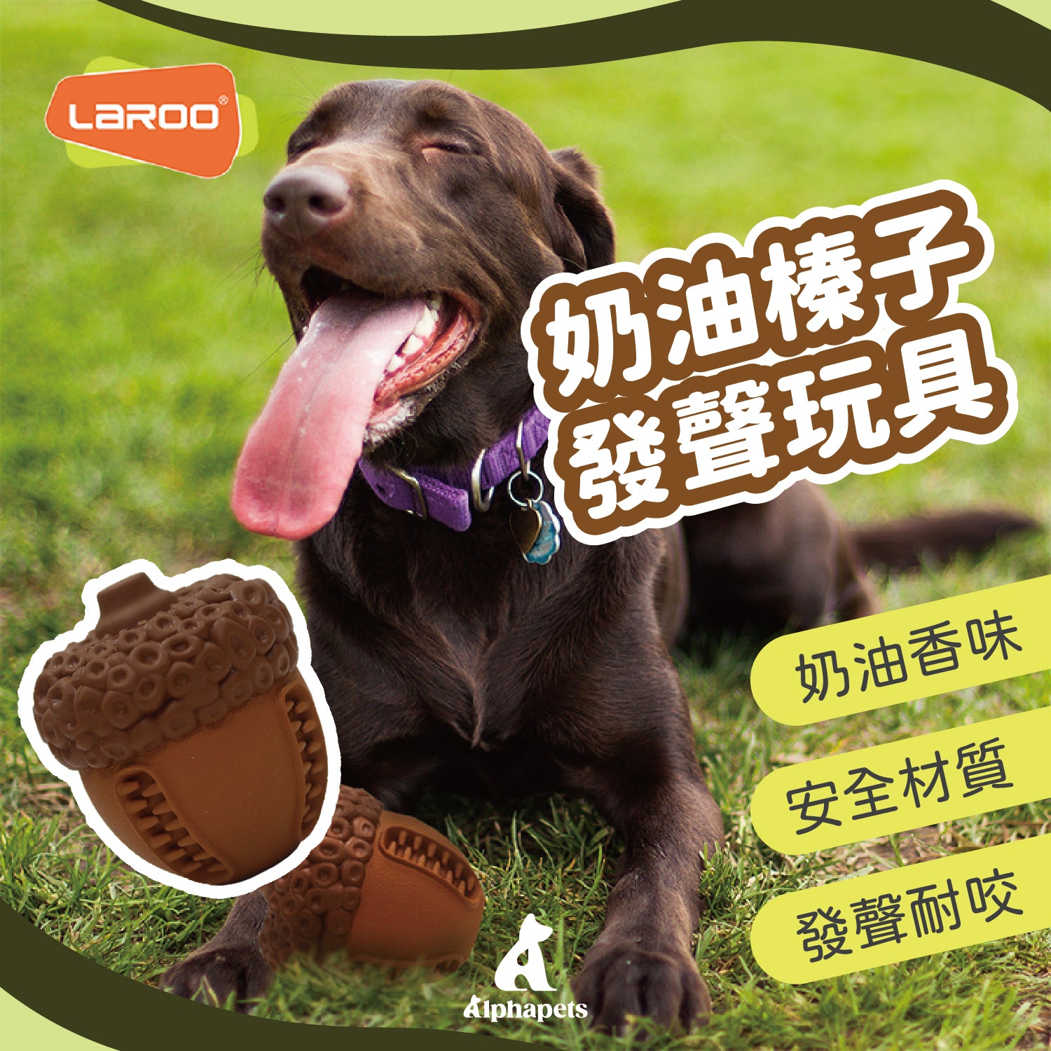 LaRoo萊諾 奶油榛子發聲玩具 狗玩具 耐咬玩具