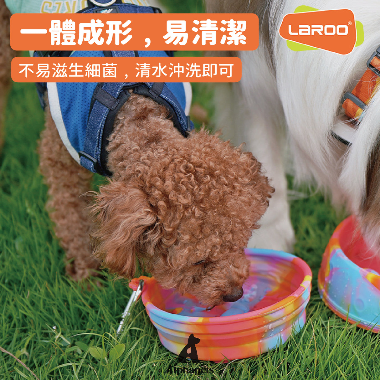 LaRoo萊諾 矽膠摺疊碗 慢食碗 慢食墊 寵物外出碗