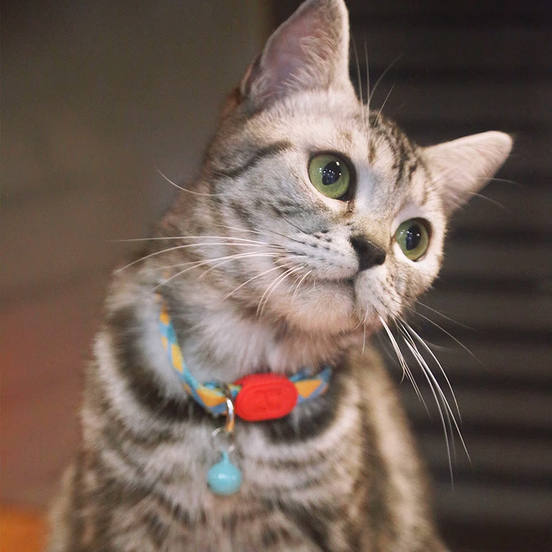 HiDREAM 護耳小鈴鐺 項圈配件 6色