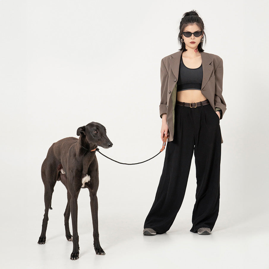 HIDREAM 啵啵系列 寵物皮革手柄一體牽繩 寵物牽繩