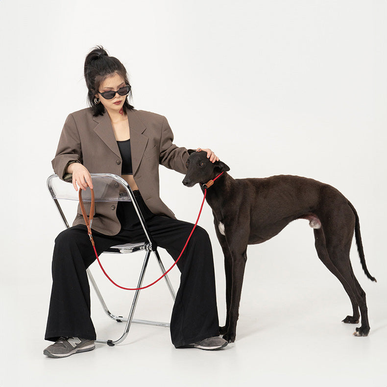 HIDREAM 啵啵系列 寵物皮革手柄一體牽繩 寵物牽繩