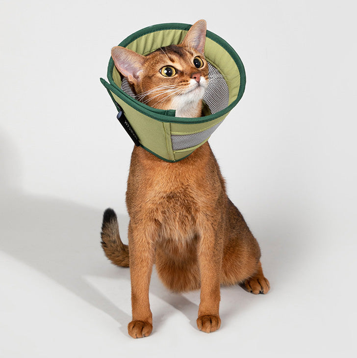 HiDREAM 網格款伊麗莎白圈 防護頭套 寵物頭套 2色