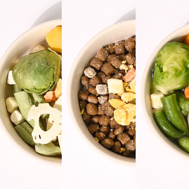 ZERO LABS 蛋黃凍乾 / 鮭魚蛋黃凍乾 / 蔬果沙拉凍乾 犬貓零食 60g / 70g