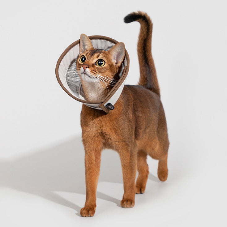 HiDREAM 網格款伊麗莎白圈 防護頭套 寵物頭套 2色