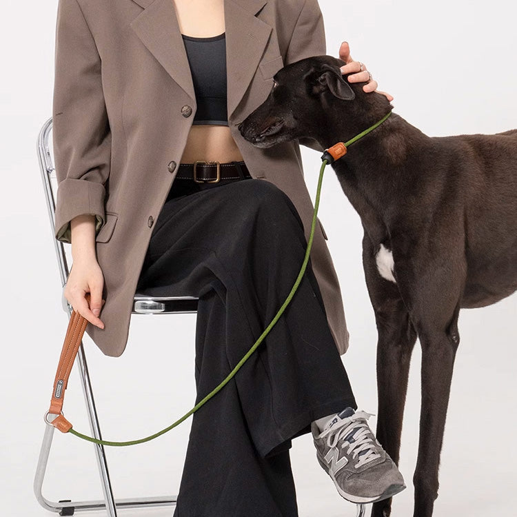 HIDREAM 啵啵系列 寵物皮革手柄一體牽繩 寵物牽繩