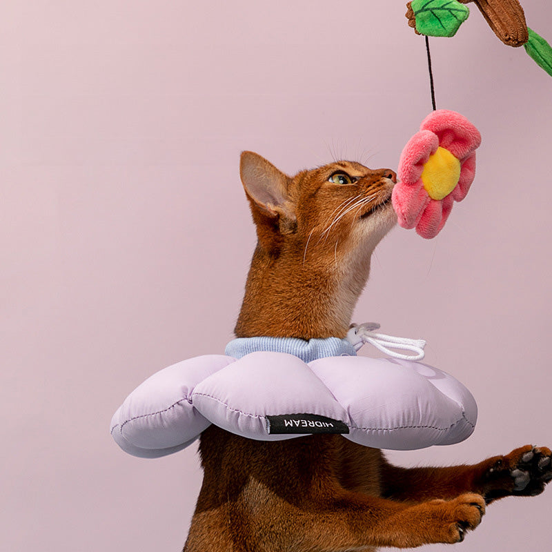 HiDREAM 花朵伊麗莎白圈 防護頭套 寵物頭套 6色