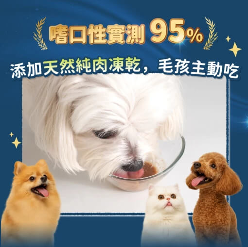 DogCatStar 汪喵星球 呼吸道保健 2g (1條)