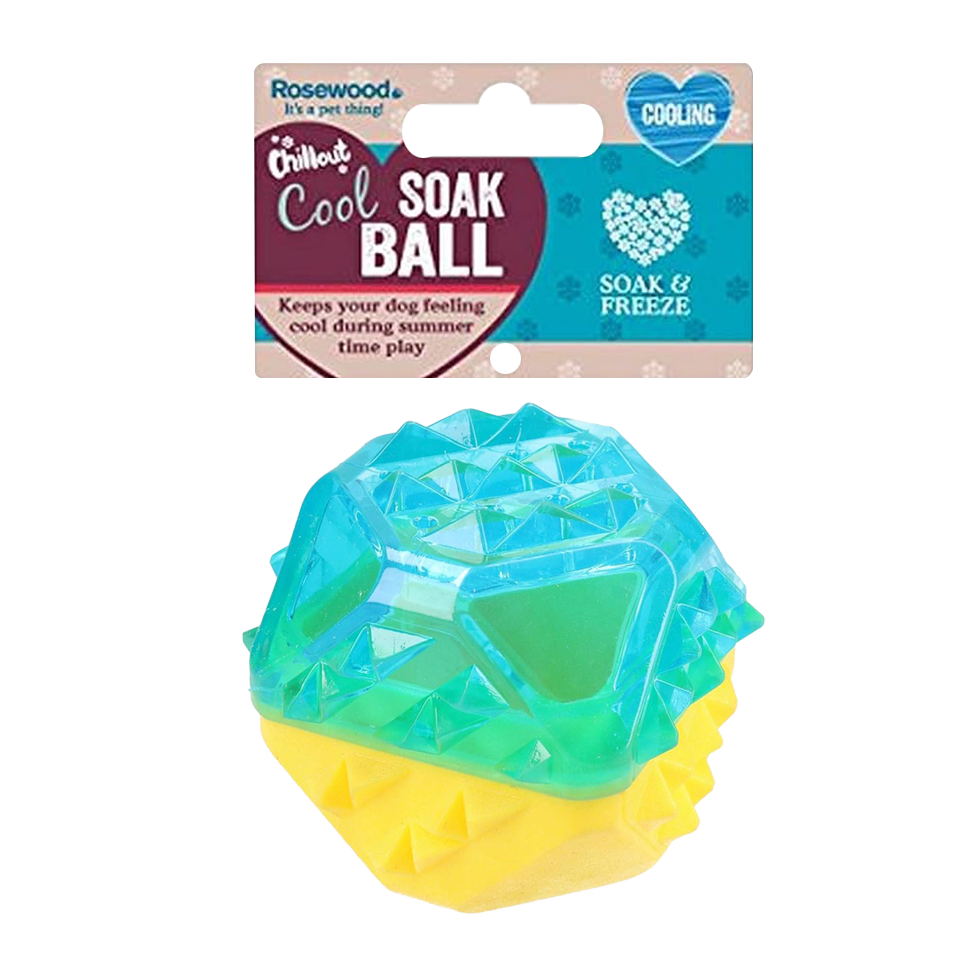 Rosewood 冰凍咬咬玩具 球