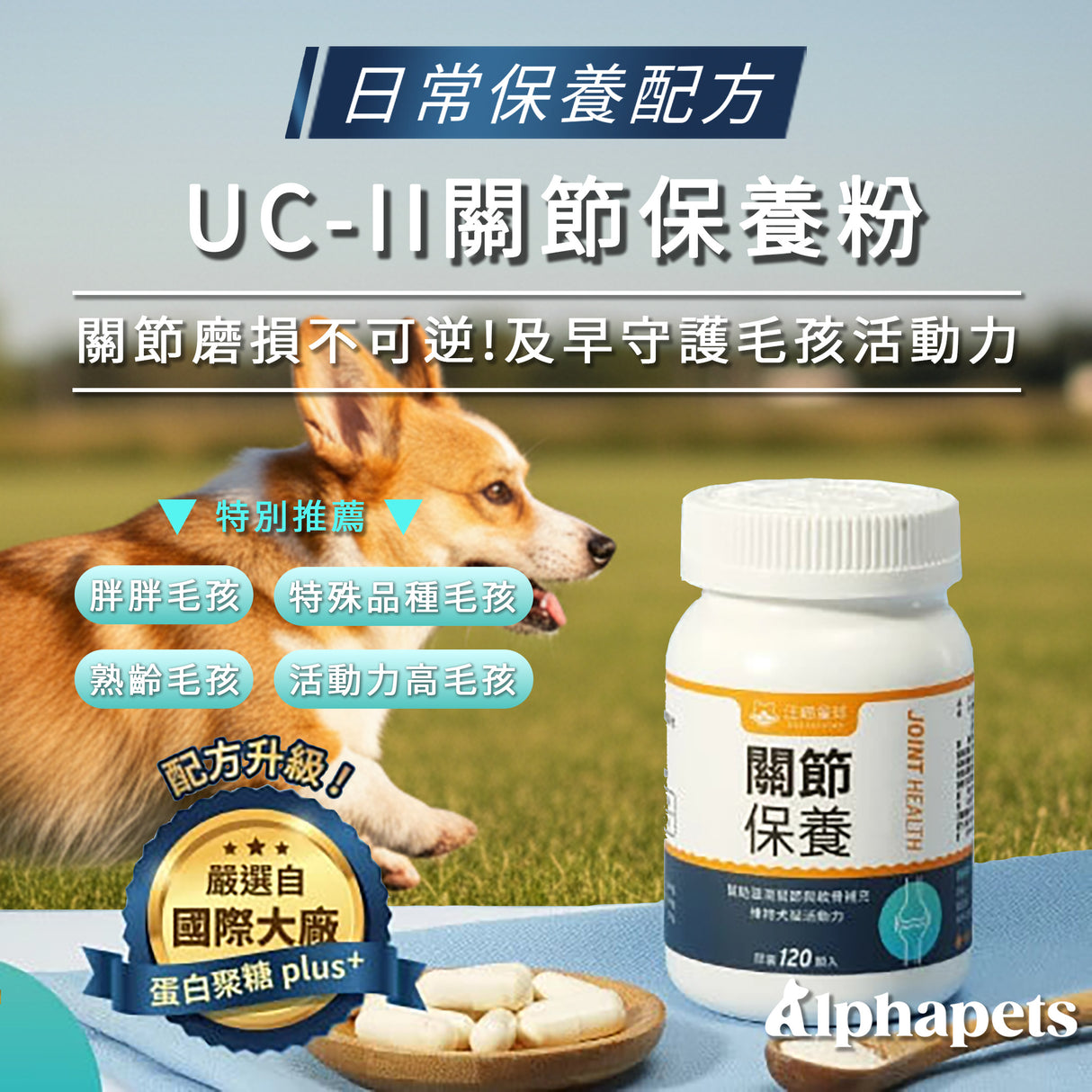 DogCatStar 汪喵星球 UCII 關節保養粉 (日常保養配方)  35顆/瓶