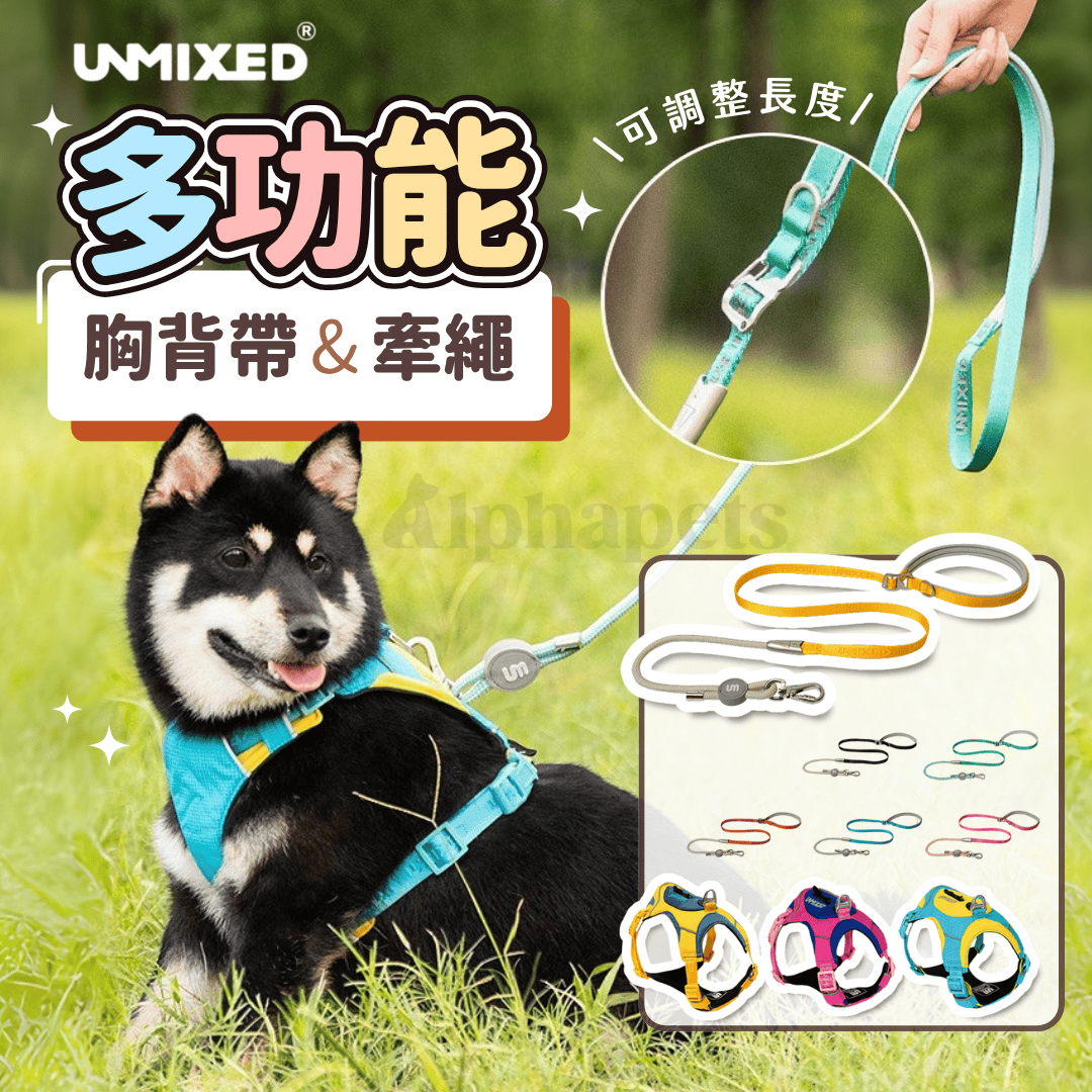 UNMIXED 城市探索者 牽引繩&胸背帶 多種尺寸顏色
