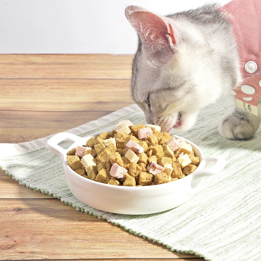 汪喵星球 機能優格丁 犬貓凍乾零食