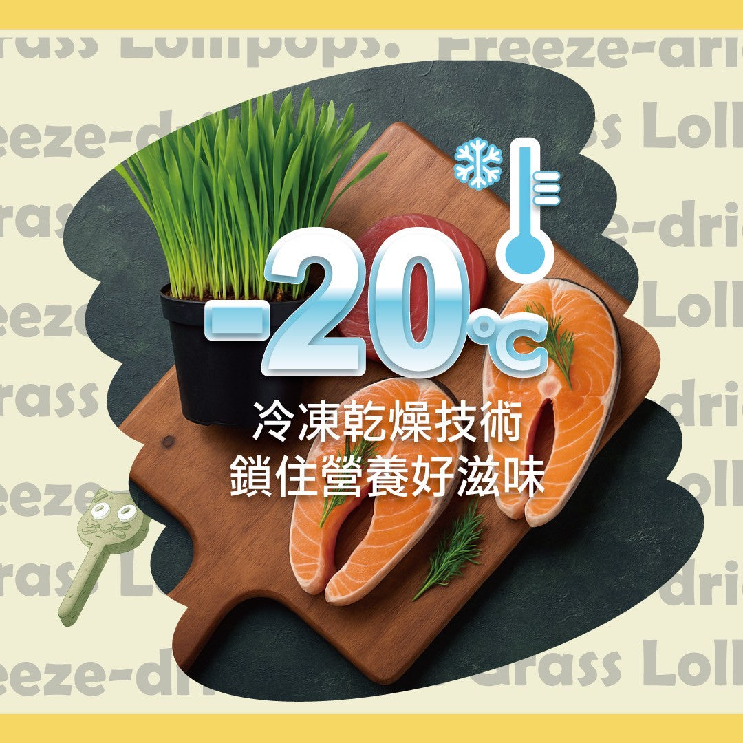 舒芙狗歐姆貓 貓草凍乾棒棒糖 3種口味