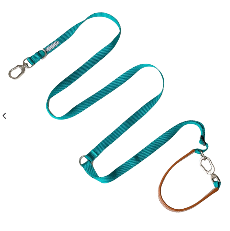 HIDREAM 多功能斜挎牽繩 寵物牽繩 5色
