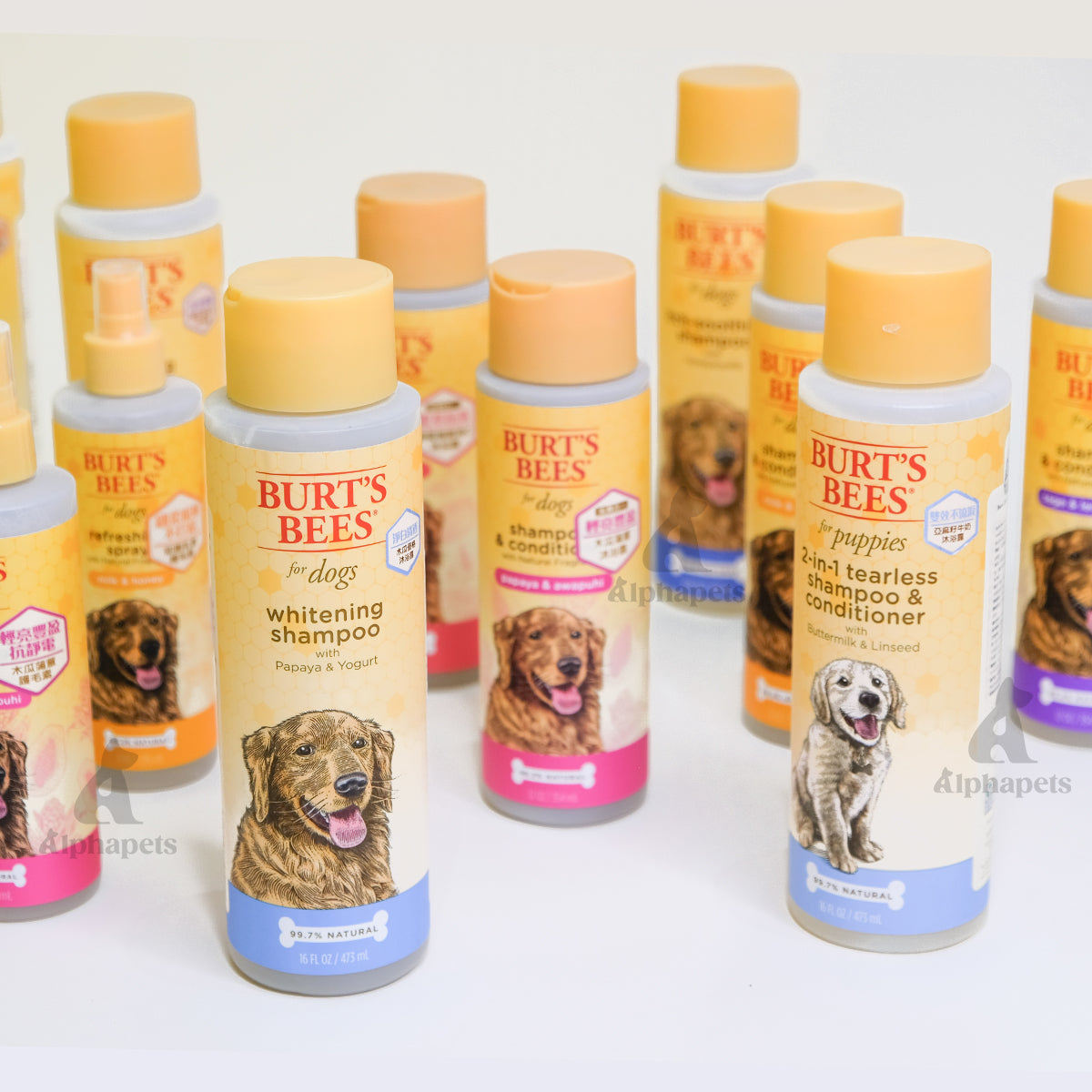 Burt's Bees Natural Pet Care 小蜜蜂爺爺 寵物美容系列 寵物狗狗洗毛精 低敏天然