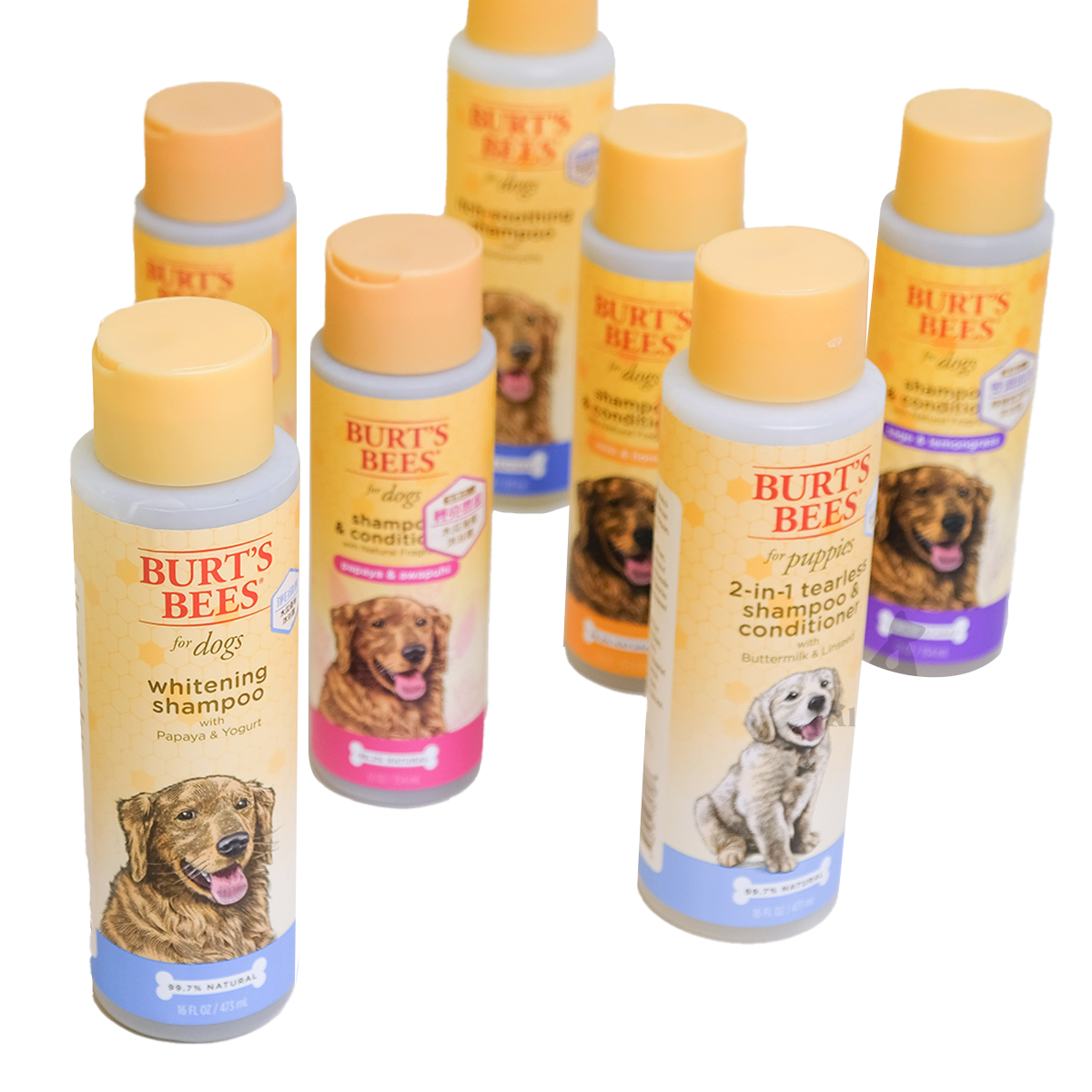 Burt's Bees Natural Pet Care 小蜜蜂爺爺 寵物美容系列 寵物狗狗洗毛精 低敏天然