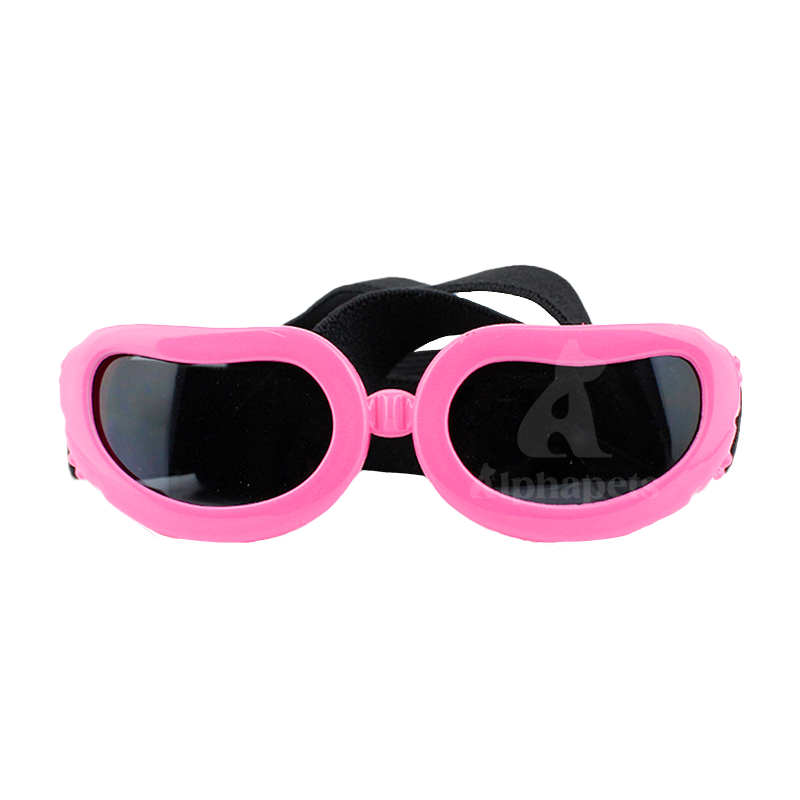 小型犬貓通用 寵物眼鏡 寵物眼睛防護 寵物護目鏡