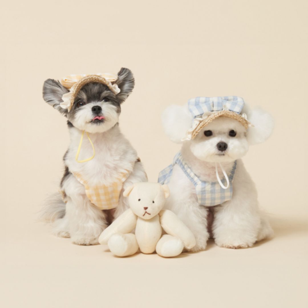 韓國MEANING 格紋蝴蝶結寵物帽 3種顏色