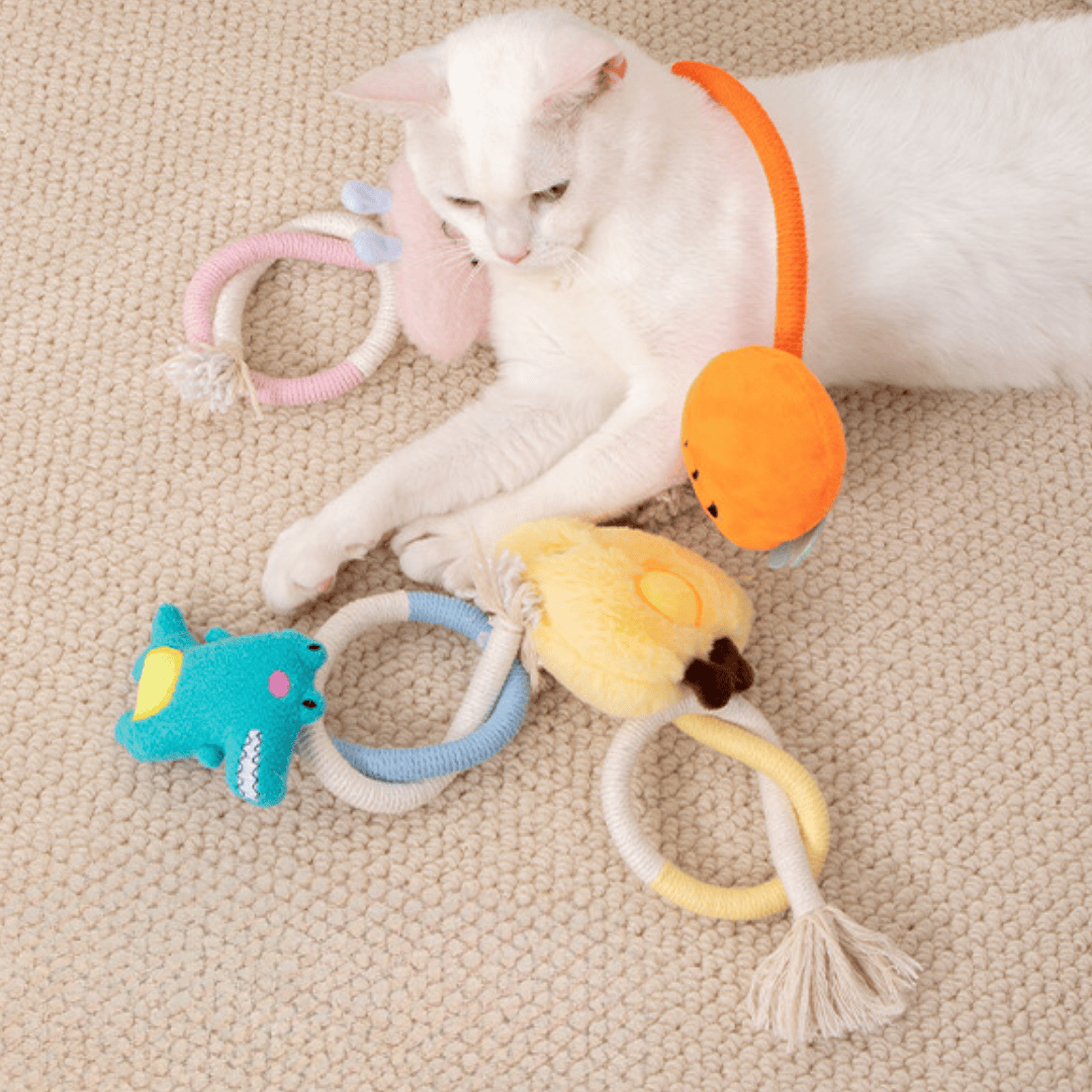 咬咬繩玩具 4種款式