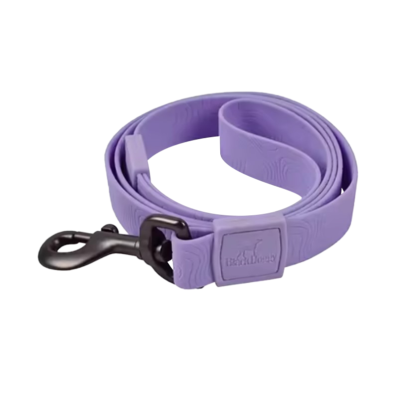 BlackDoggy 寵物外出壓花防水項圈 / 牽繩