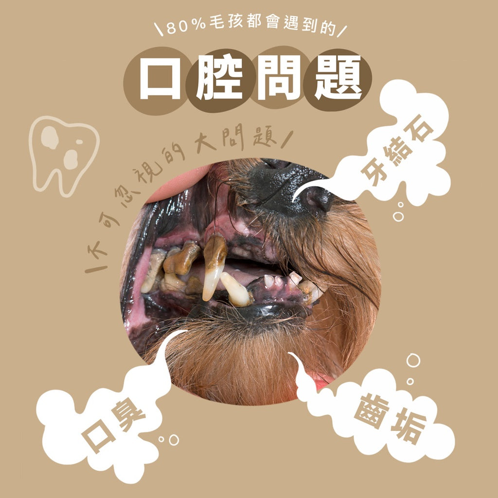 Abao阿寶 水果優格啾啾棒 5種口味 65g (5入)