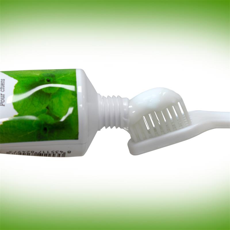 西班牙 ARQUIVET arquifresh 可食性寵物牙膏 草莓/薄荷 100g