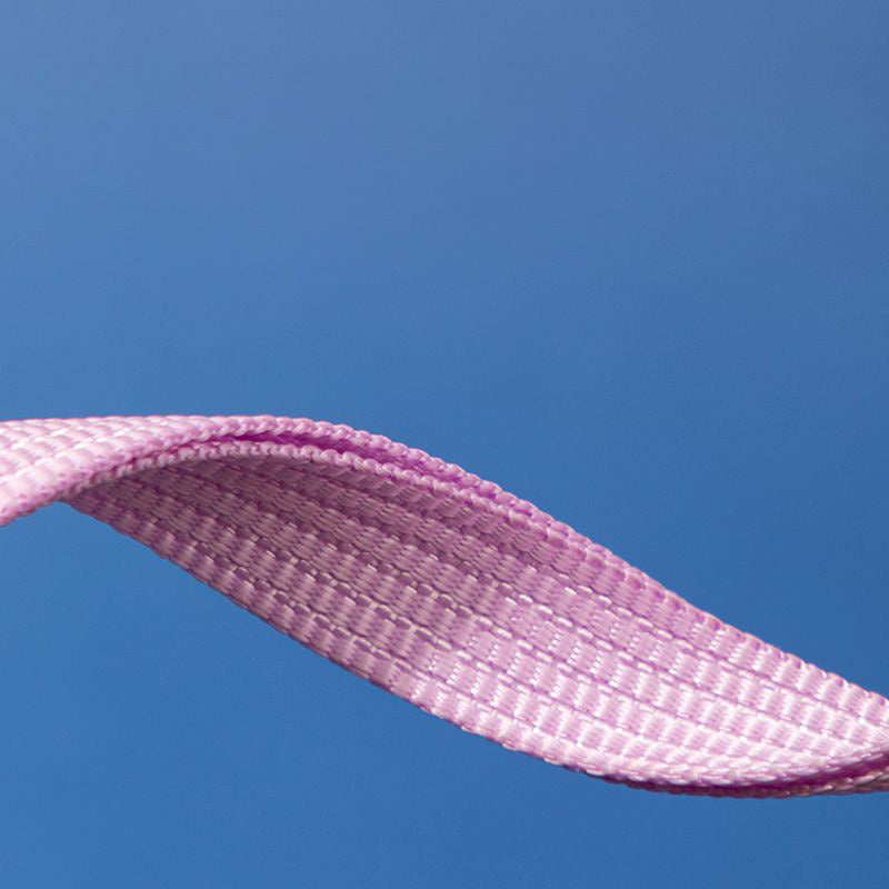 HiDREAM 糖果貓咪項圈 寵物項圈 貓項圈 4色