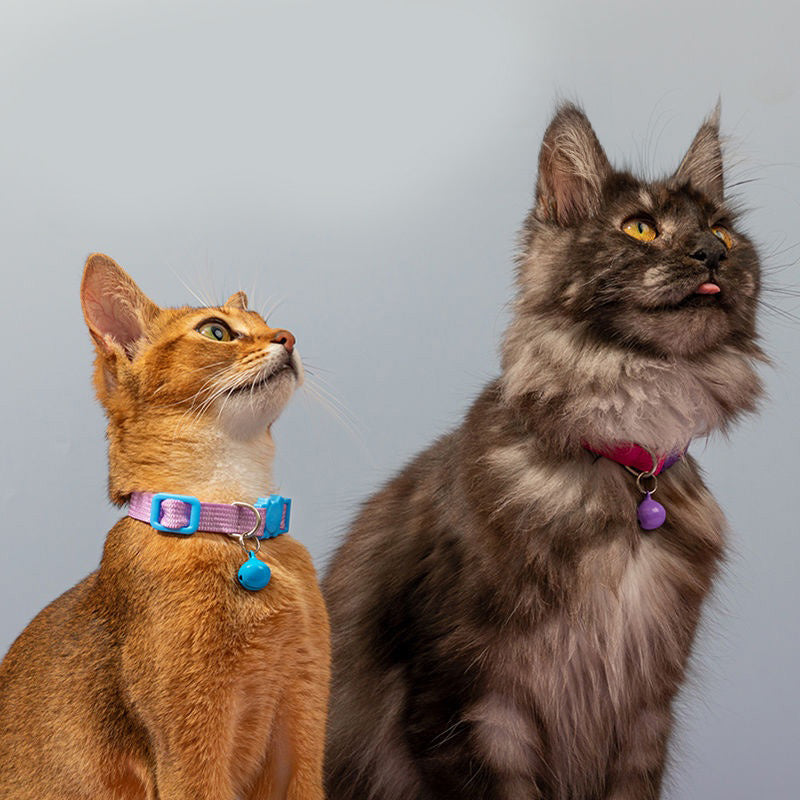 HiDREAM 糖果貓咪項圈 寵物項圈 貓項圈 4色