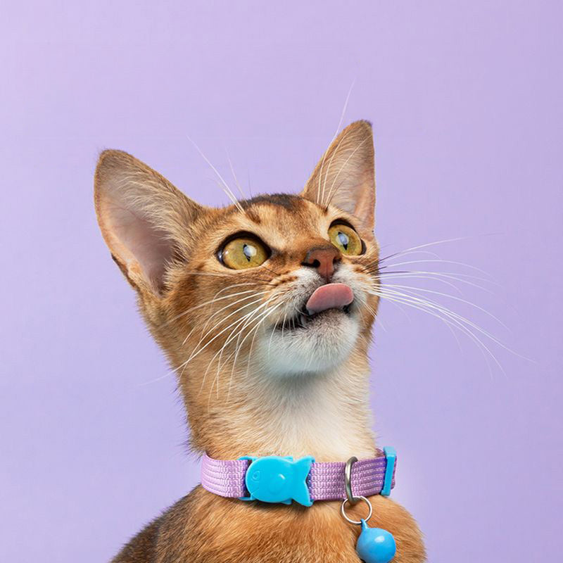 HiDREAM 糖果貓咪項圈 寵物項圈 貓項圈 4色
