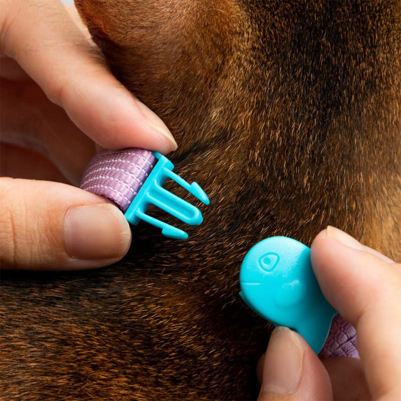 HiDREAM 糖果貓咪項圈 寵物項圈 貓項圈 4色